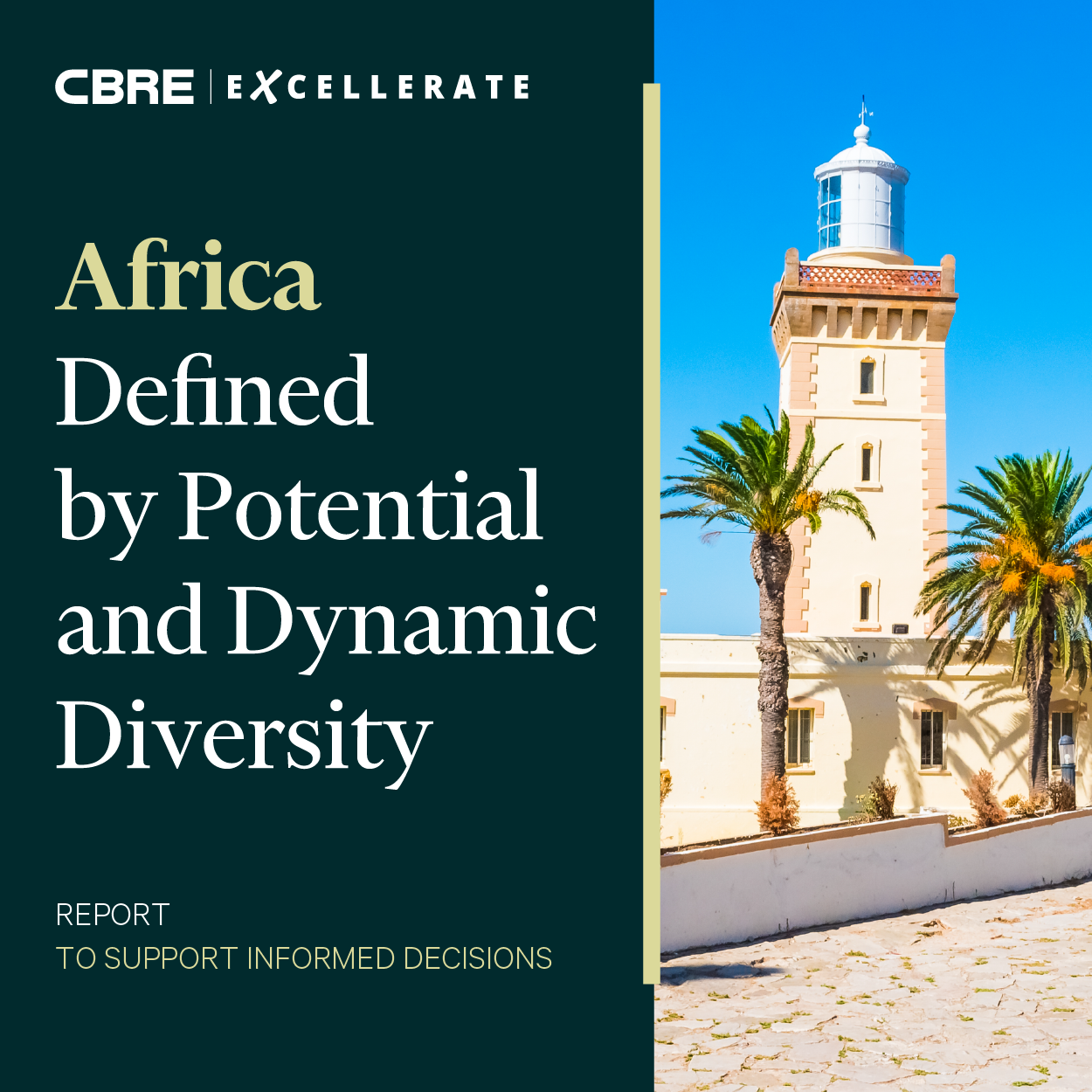 Africa Defined by Potential and Dynamic Diversity