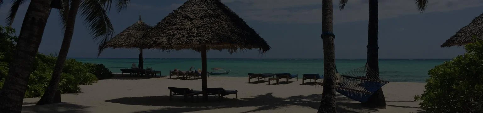 Zanzibar beach with thatched umbrellas